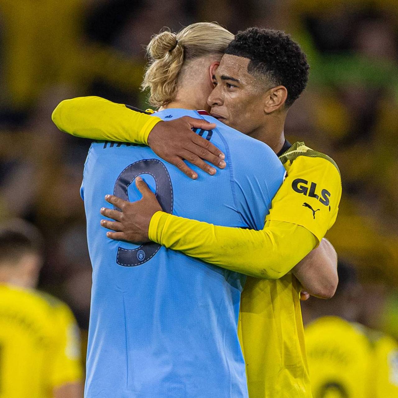 火箭正式报价字母哥，申京要打水漂了，杜兰特真能夺冠吗？